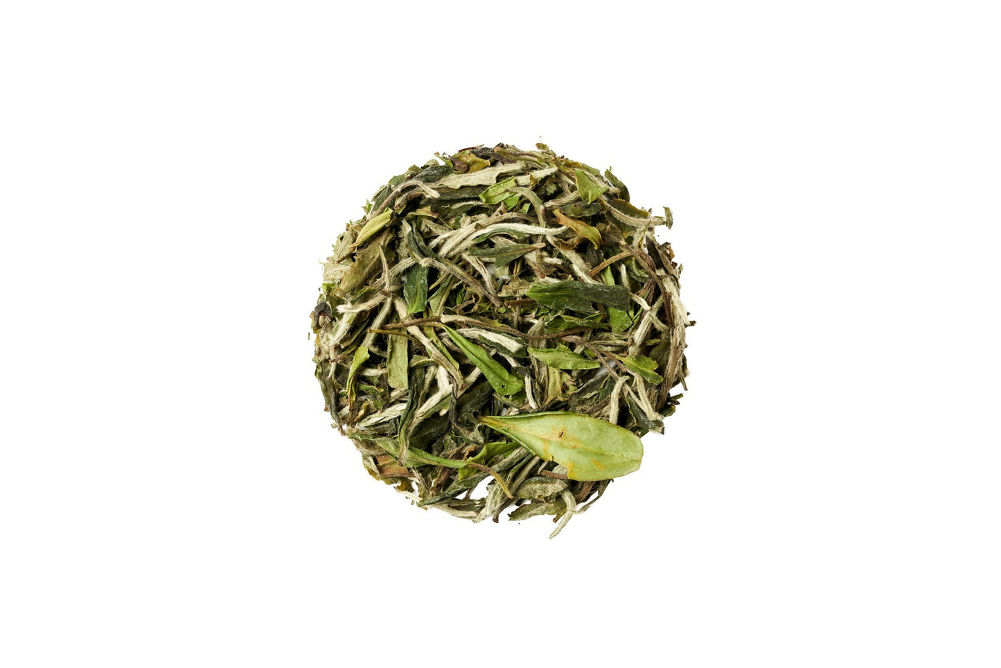 White Peony Bai Mu Dan