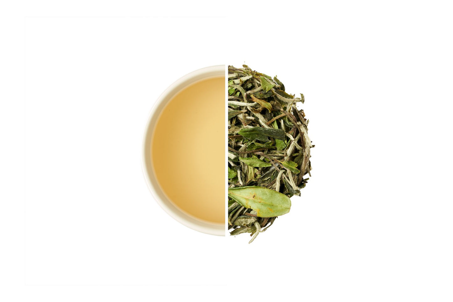 White Peony Bai Mu Dan