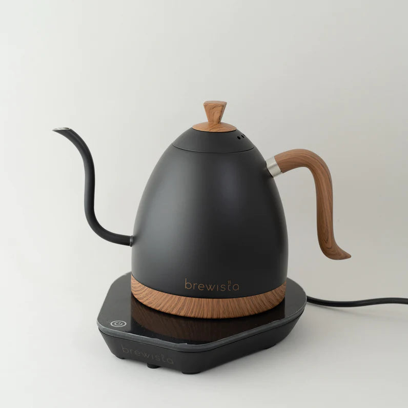 Brewista Artisan Electric Gooseneck Kettle