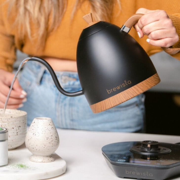 Brewista Artisan Electric Gooseneck Kettle