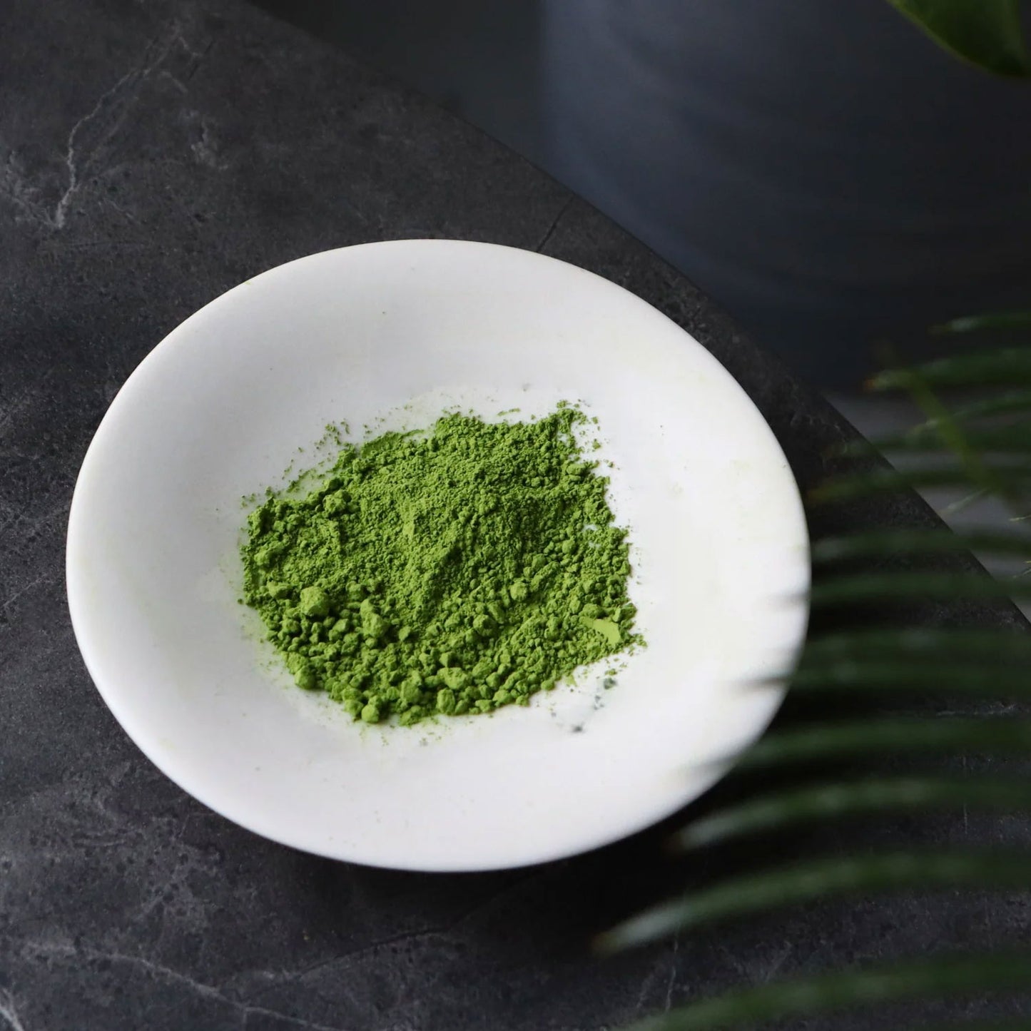Kodama Ceremonial Grade Matcha