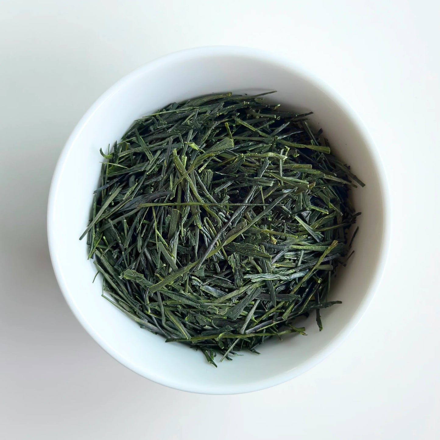 THE TRAILBLAZER 2025 Seed-propagated Sencha