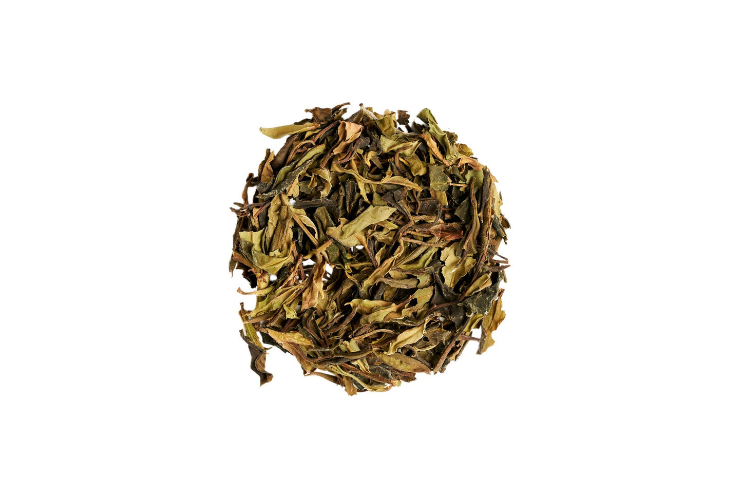 Wild Tree Moonlight Ye Sheng Cha