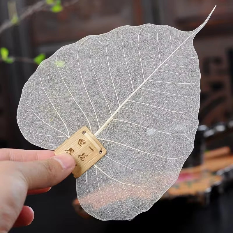 Leaf Tea Strainer
