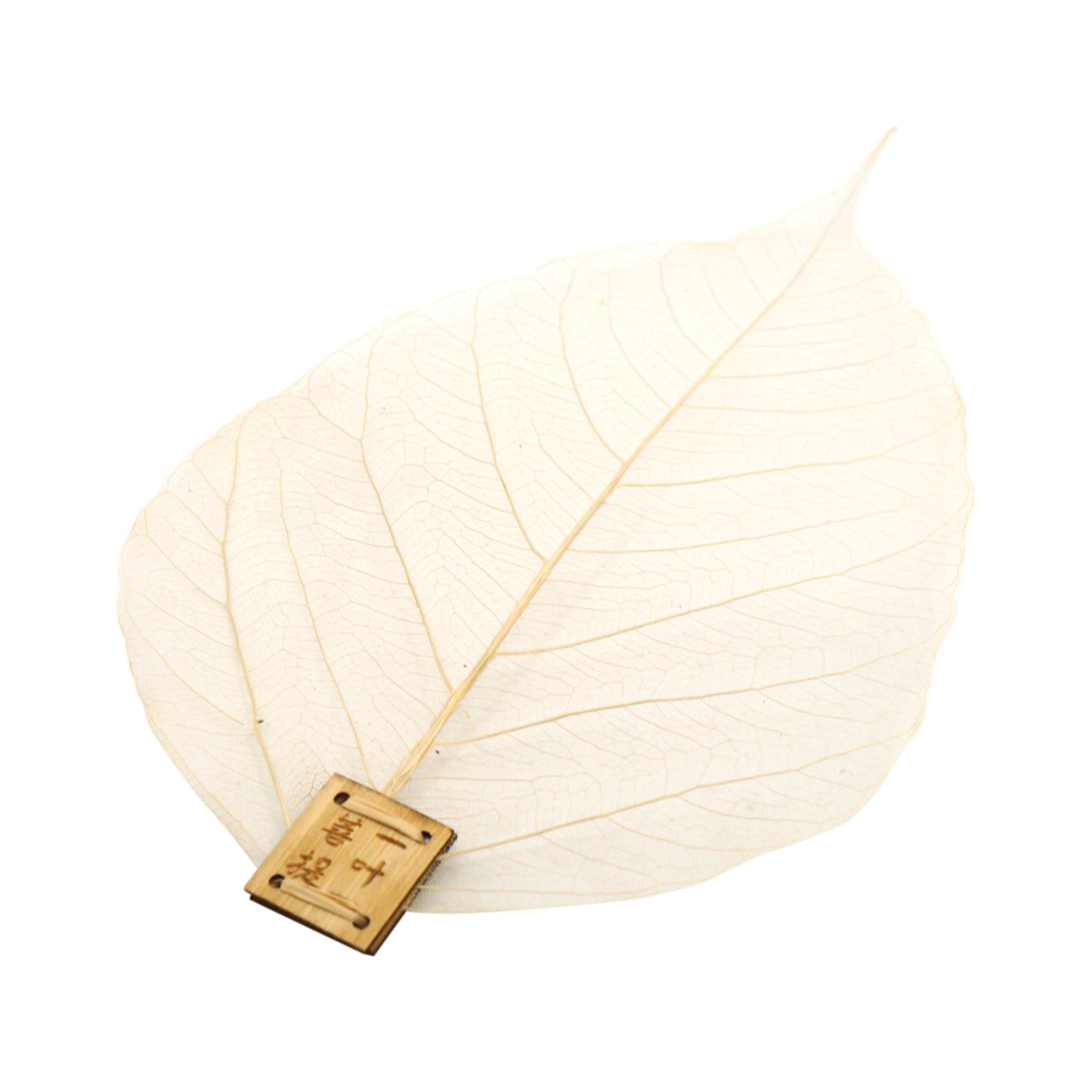 Leaf Tea Strainer