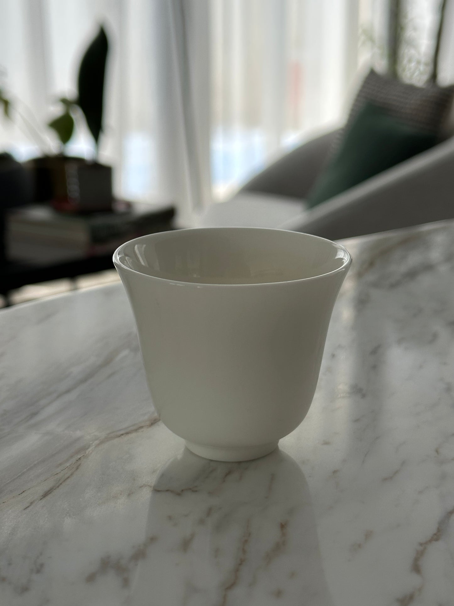 Jade Porcelain Tea Cups- set of 2