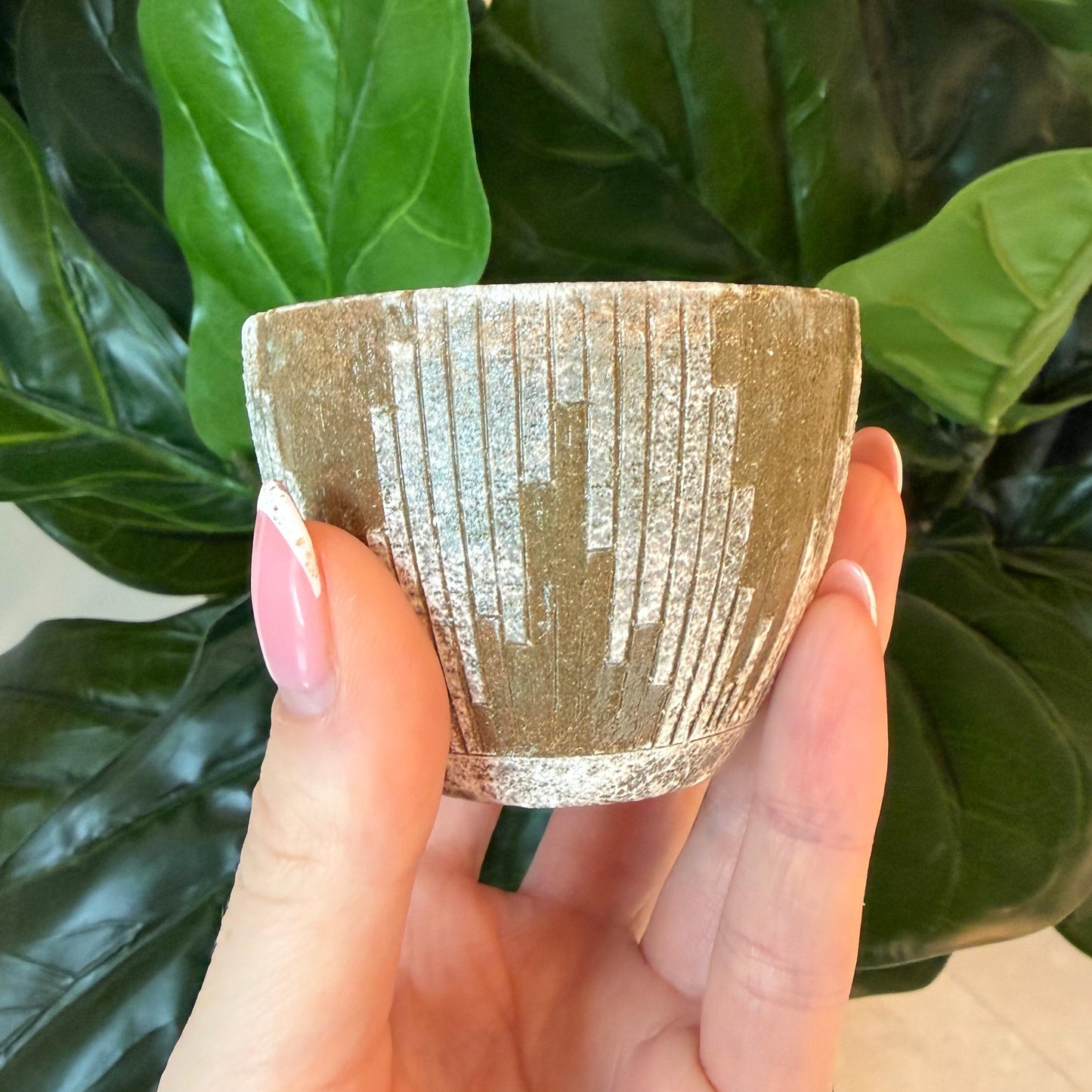 Emui: Handmade Guinomi Cup - Vertical Pattern White-Olive