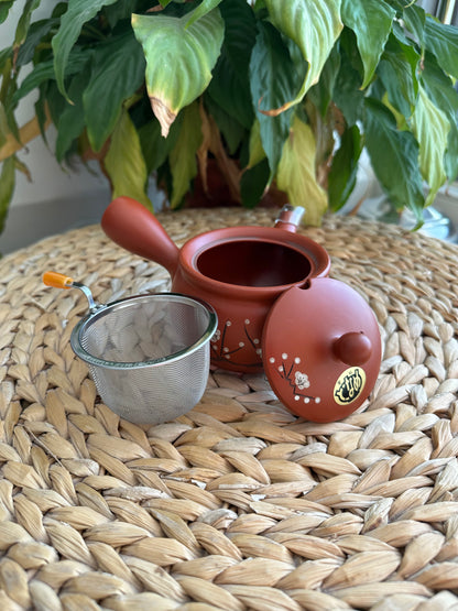 Red Tokoname Clay Kyusu with Removable Infuser