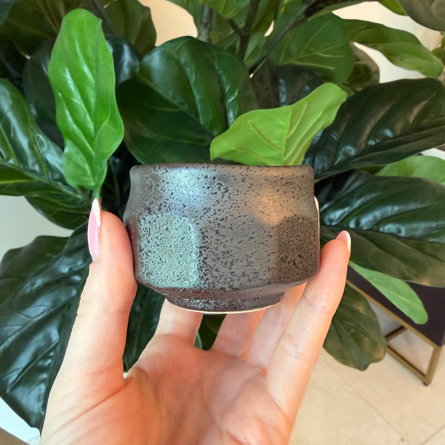 Seiangama: Handmade Mino-yaki Guinomi Cup (5 Piece Set with Wooden Box)