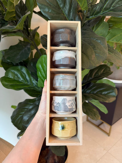 Seiangama: Handmade Mino-yaki Guinomi Cup (5 Piece Set with Wooden Box)