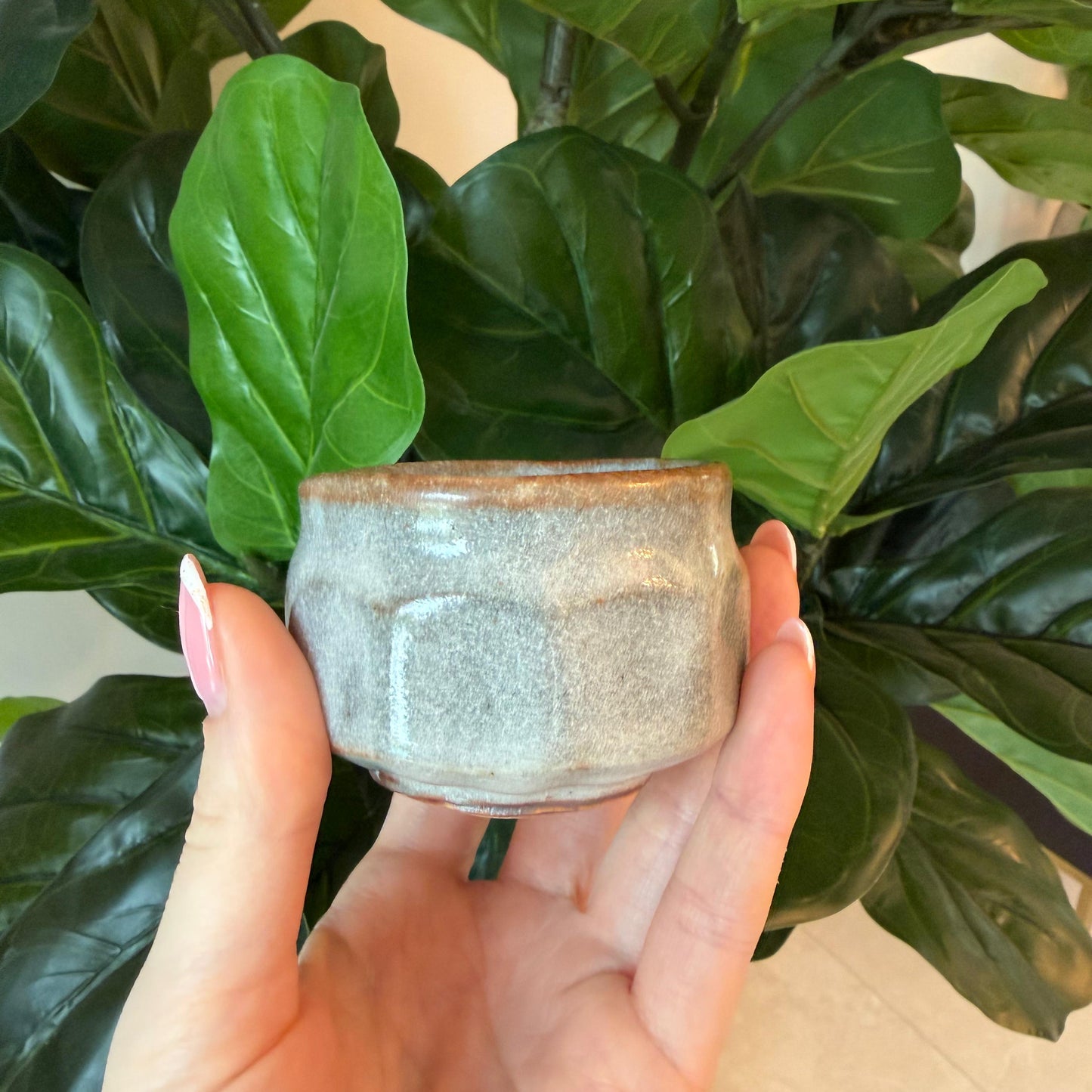 Seiangama: Handmade Mino-yaki Guinomi Cup (5 Piece Set with Wooden Box)