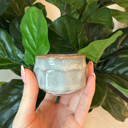 Seiangama: Handmade Mino-yaki Guinomi Cup (5 Piece Set with Wooden Box)