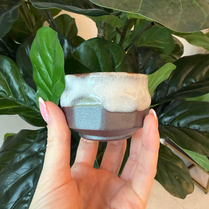 Seiangama: Handmade Mino-yaki Guinomi Cup (5 Piece Set with Wooden Box)