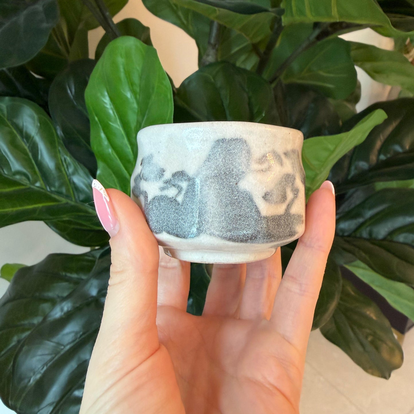 Seiangama: Handmade Mino-yaki Guinomi Cup (5 Piece Set with Wooden Box)