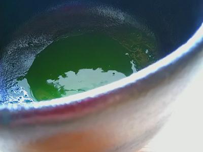 Kuma Tea Garden: Heritage Grade Yame Matcha Saemidori
