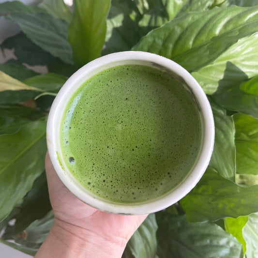 Organic Ceremonial Grade Matcha